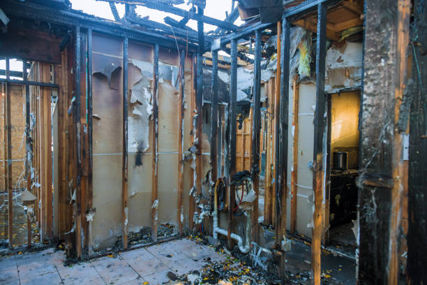 Professional Fire Damage Removal technician working in Newcastle, WY